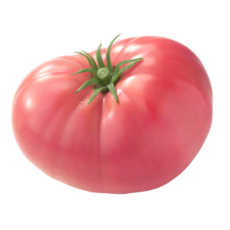 TOMATE ROSA BELLA 5KG